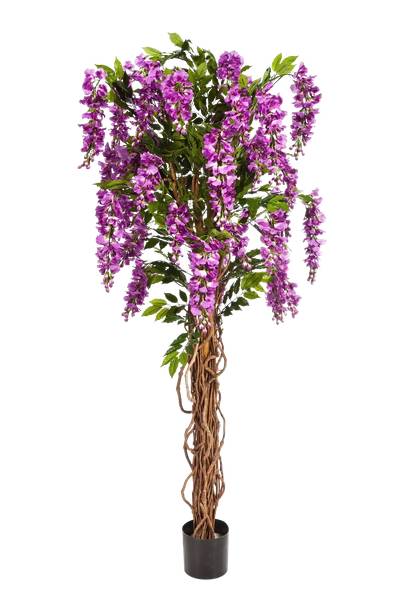 Künstliche Wisteria Liana Rita Grün - Kunststoff - 75 x 180 x 75 cm