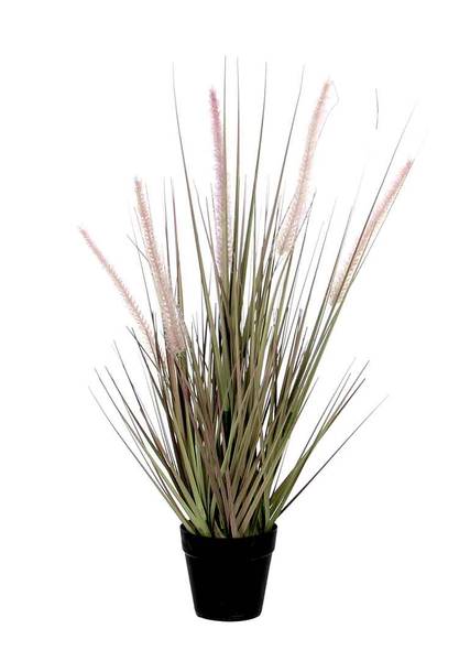Plante artificielle Herbe Dogtail Mauve - Matière plastique - 30 x 53 x 30 cm