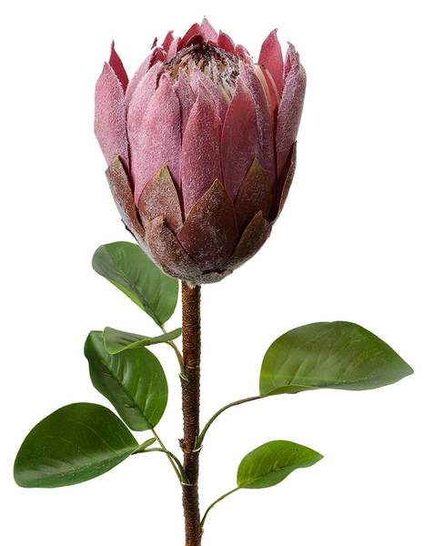 Kunstblume 90510 Violett - Kunststoff - 10 x 65 x 10 cm