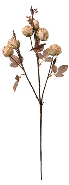 Kunstblume 88725 Beige - Kunststoff - 9 x 73 x 16 cm