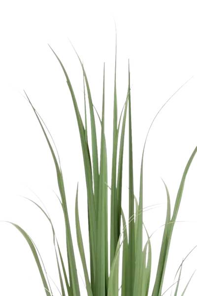 Künstliches Yucca Gras Iva Grün - Kunststoff - 1 x 120 x 1 cm