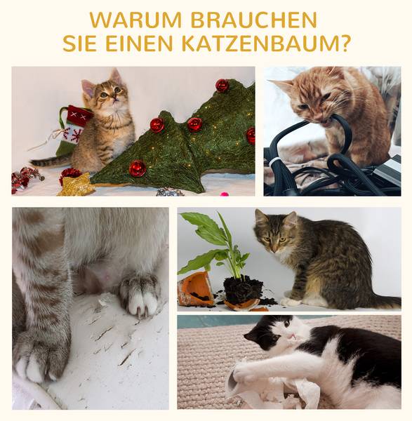 Kratzbaum D30-033 Beige