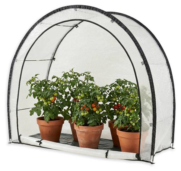 Tomatengewächshaus Larshasas Fiberglas - 180 x 170 x 80 cm