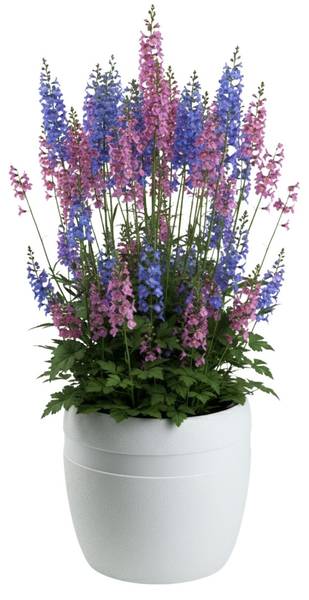 Blumentopf Luna 3er-Set Weiß - Kunststoff - 46 x 38 x 46 cm