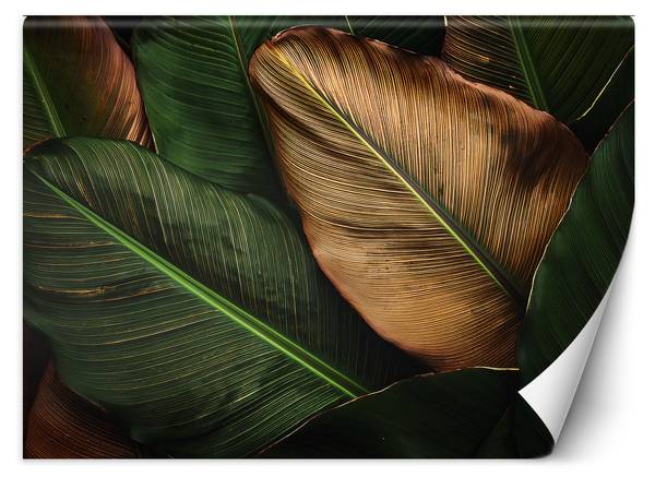 Fototapete tropische blätter 350 x 245 cm
