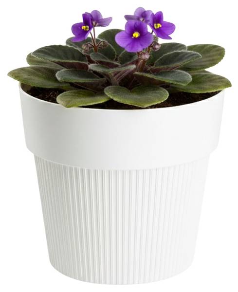 Blumentopf Silva Ecru - 14 x 13 x 14 cm