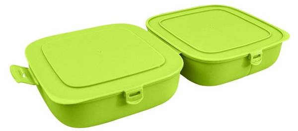 Lunchbox mit 2 Behältern Grün