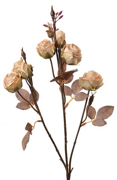 Kunstblume 88725 Beige - Kunststoff - 9 x 73 x 16 cm