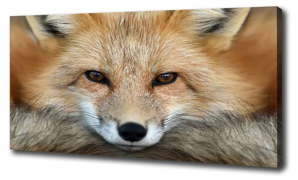 Wandbild Fuchs Beige - Mischgewebe - 100 x 50 x 4 cm