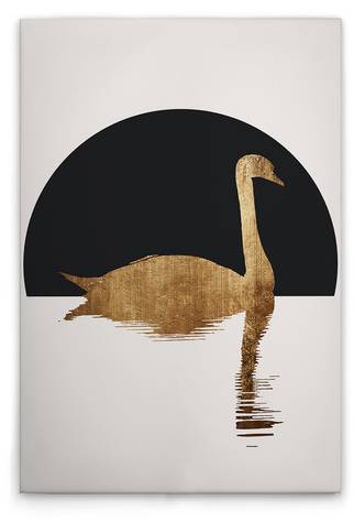 Leinwandbild The Swan 1 50 x 75 cm