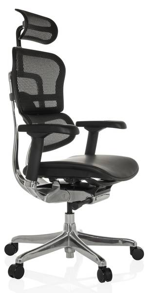 Chefsessel ERGOHUMAN GEN2 Schwarz - Flachgewebe - 78 x 136 x 64 cm