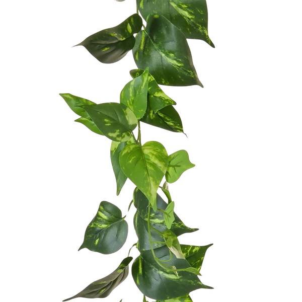 Künstliche Pothos Girlande Christian Grün - Kunststoff - 20 x 220 x 20 cm