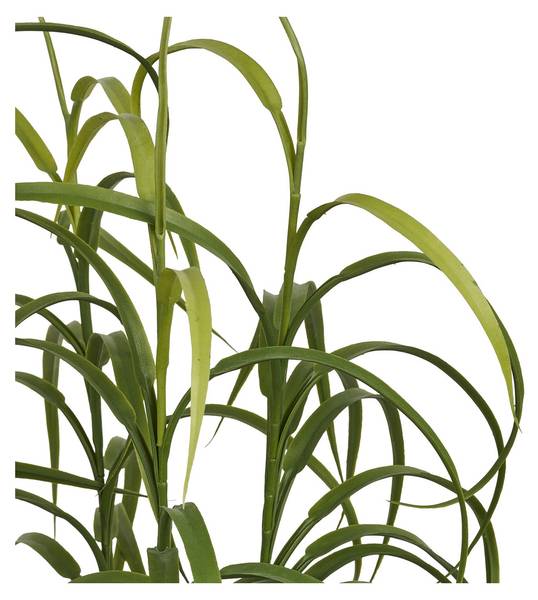 Kunstpflanzen VK8681847499985 Grün - Polyethylen - 36 x 89 x 36 cm