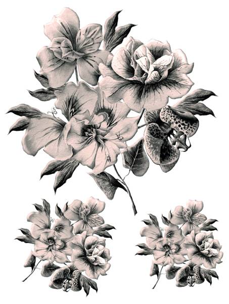 Wandtattoo 600279 Beige - Fleece - Vinyl - 85 x 65 x 65 cm