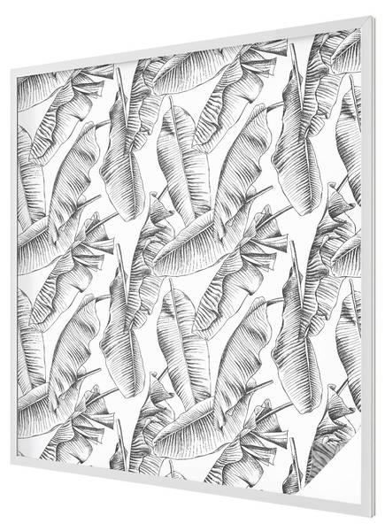 Folie Sichtschutz Liana 116 x 100 cm