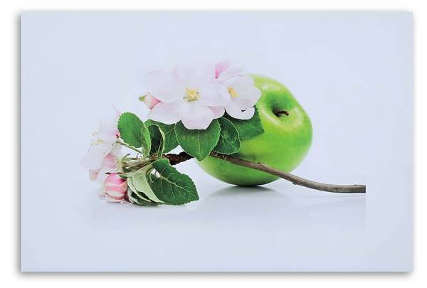 Wandbild apfel und zweig eines obstbaums 60 x 40 cm