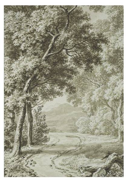 Leinwandbild Waldweg Grün - Baumwollstoff - 50 x 70 x 2 cm