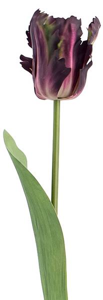 Kunstblume 83230 Violett - Kunststoff - 1 x 61 x 61 cm