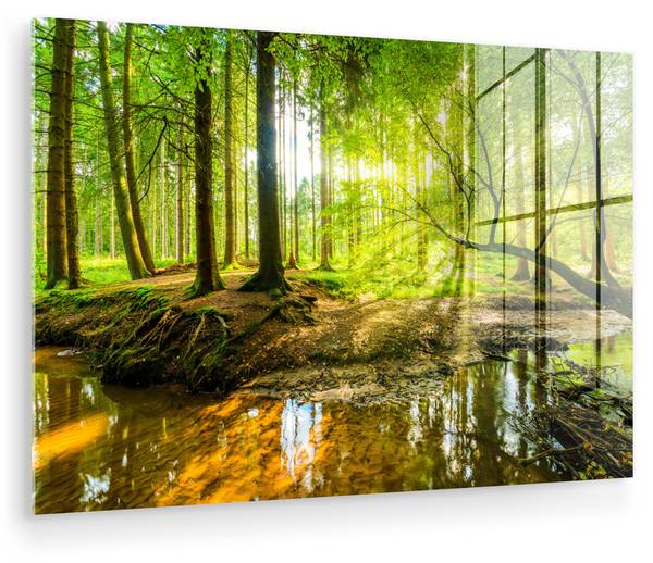 ACRYLGLASBILD Wald 60 x 40 cm