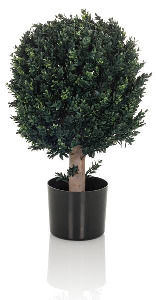 Kunstpflanze BUXUS Grün - Kunststoff - 40 x 65 x 40 cm