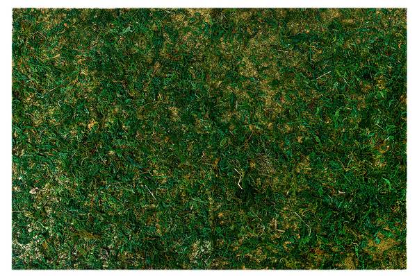 Dekoration Deco&Rhett Grün - Kunststoff - 40 x 1 x 60 cm