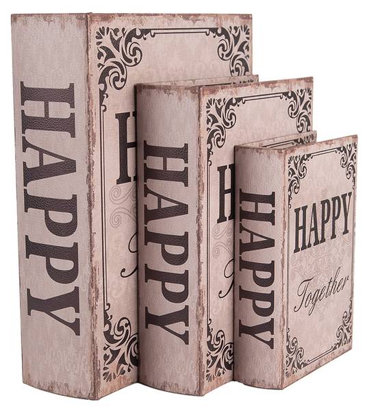 Aufbewahrungsbox Bücher Elise 3er Set Beige - Holzwerkstoff - 22 x 7 x 27 cm