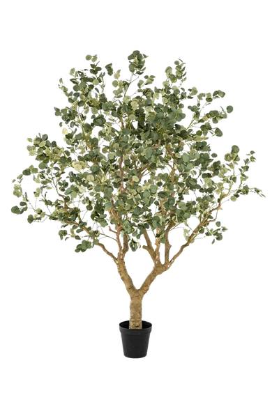 Künstlicher Eucalyptus Kalli Grün - Kunststoff - 160 x 240 x 160 cm