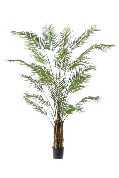 Künstliche Areca Palme Isaiah Beige - Kunststoff - 1 x 240 x 1 cm