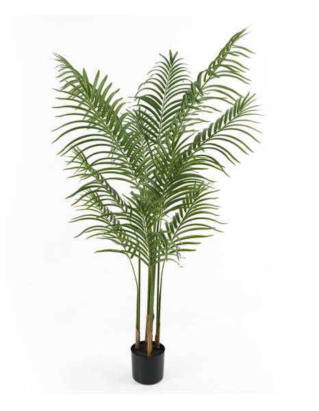 Kunstpflanze Kwai Tree Grün - Kunststoff - 60 x 140 x 60 cm