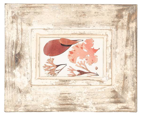 Bilderrahmen Arianna Beige - Holzwerkstoff - 3 x 29 x 24 cm