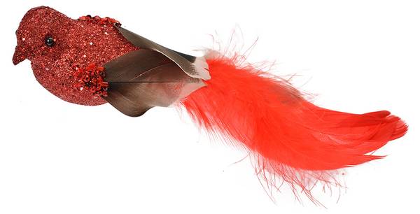 Dekoration Vögel Xmas&Wesley 2er Set Rot - Kunststoff - 5 x 5 x 16 cm