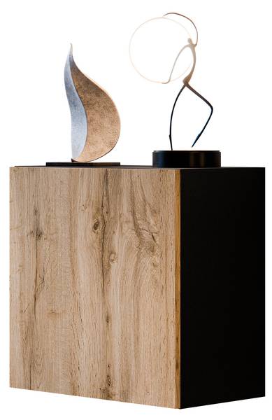 Vitrine Quadrat Capital Schwarz - Eiche