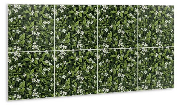 Zelfklevend Wandpaneel Niveus groen - polyester-PVC - 100 x 50 x 0 cm