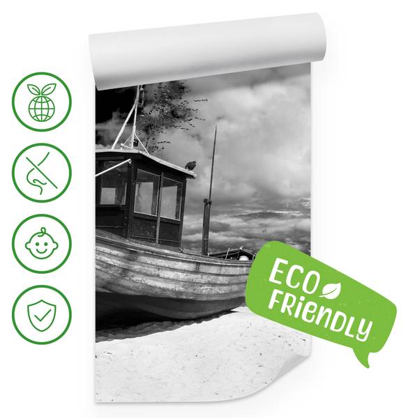 Fototapete Boot Strand Meer Natur 350 x 256 x 256 cm