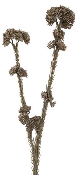 Kunstblume 94024 Grau - Kunststoff - 6 x 58 x 6 cm
