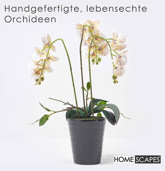 Künstliche Orchidee Lifelike Weiß - Polyester - 22 x 56 x 56 cm