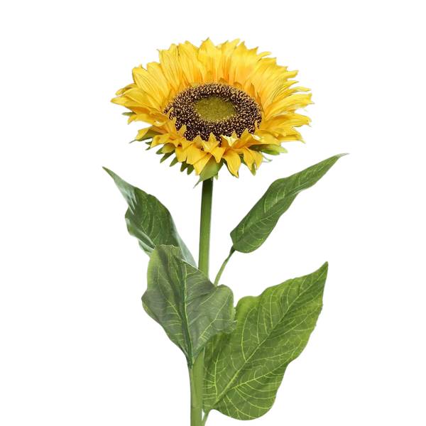 Künstliche Sonnenblume Ilkay Gelb - Kunststoff - 1 x 78 x 1 cm