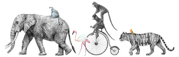 Fotobehang Circusdieren zwart - grijs - oranje - roze - wit - geel - vinyl - 350 x 255 x 1 cm