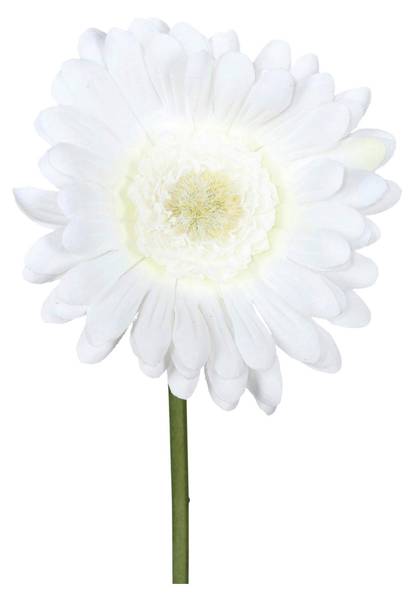 Kunstblume GERBERA I Weiß - Holzwerkstoff - 1 x 1 x 1 cm