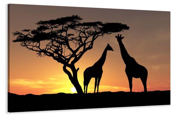 Leinwandbild AFRIKA Gelb - Textil - 120 x 80 x 2 cm