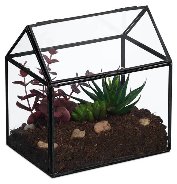 Planten terrarium van glas voor binnen zwart - transparant glas - 16 x 16 x 12 cm