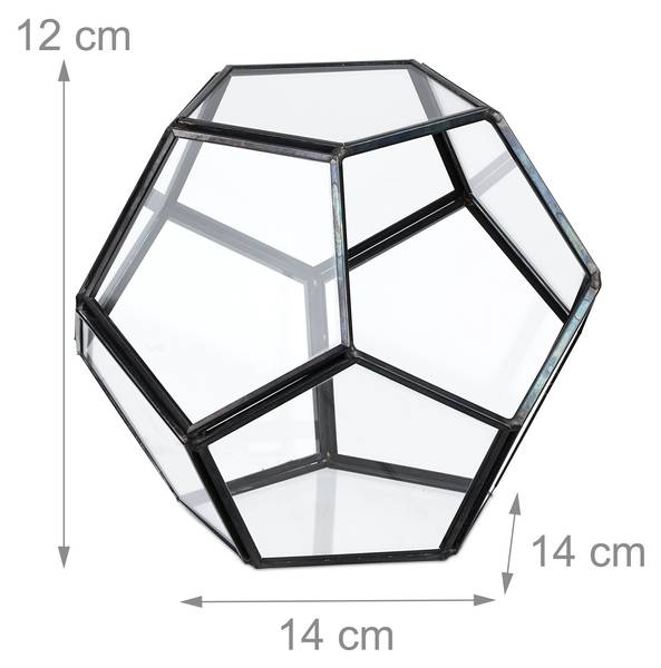 Planten terrarium voor vetplanten zwart - glas - metaal - 14 x 12 x 14 cm