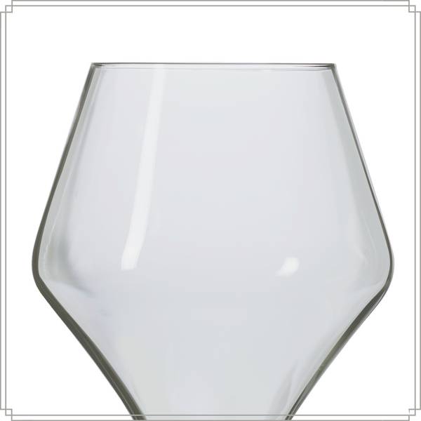 Wijnglazen Topaz Set van 24 9 x 22 x 9 cm