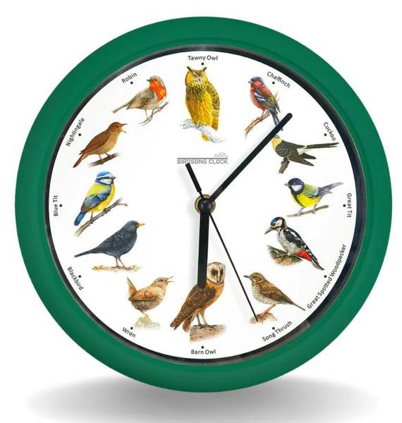 Birdsong Clock Wanduhr Grün - Kunststoff - 25 x 25 x 4 cm