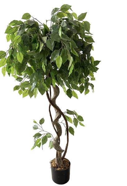 Kunstpflanze Ficus RE7036 Grün - Kunststoff - 40 x 120 x 40 cm