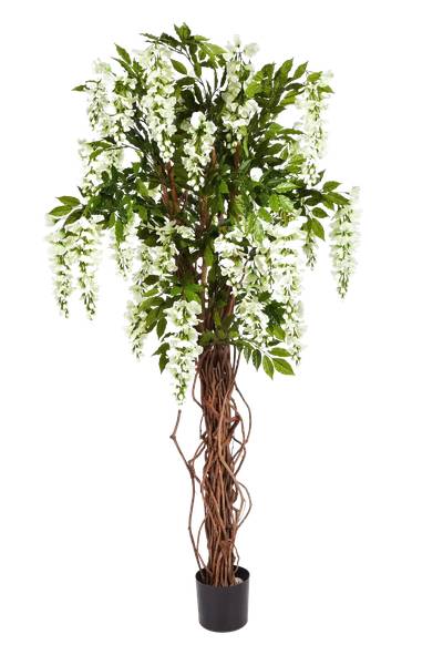 Künstliche Wisteria Liana Ria Weiß - Kunststoff - 75 x 180 x 75 cm