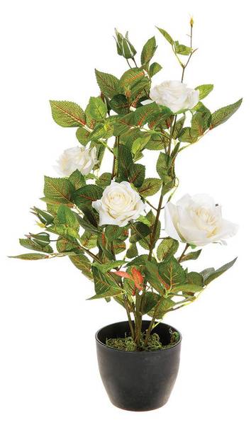 Rosier artificiel ROSIER Blanc - Textile - 38 x 50 x 38 cm