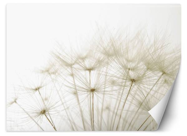 Fototapete Pusteblume Makro 400 x 280 cm
