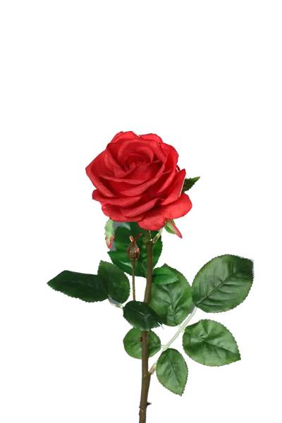 Künstliche Rose Philipos Rot - Kunststoff - 1 x 66 x 1 cm