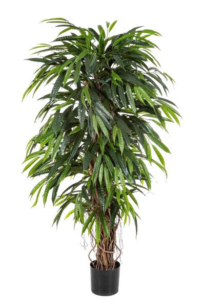 Künstliche Longifolia Steven 75 x 210 x 75 cm